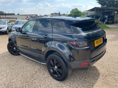 LAND ROVER RANGE ROVER EVOQUE TD4 SE TECH - 4150 - 6