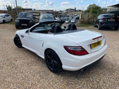 MERCEDES SLK SLK 250 D AMG SPORT - 4216 - 5