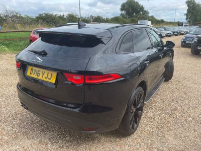 JAGUAR F-PACE R-SPORT AWD - 4180 - 5